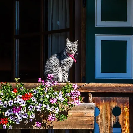 Apartment Nonna Pina Putti